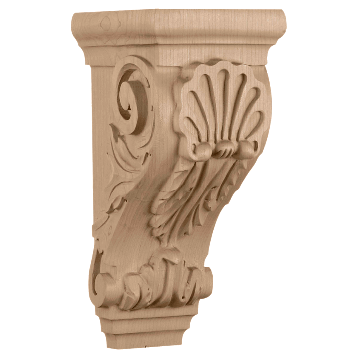 CORSH2 Medium Shell Corbel