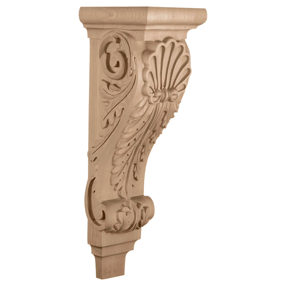 CORSH8 Extra Large Shell Corbel